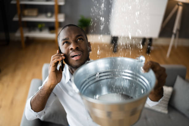 Best Water damage restoration insurance claims  in Hazel Crest, IL