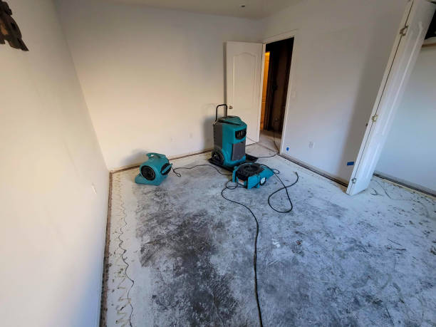 Best Water damage restoration near me  in Hazel Crest, IL