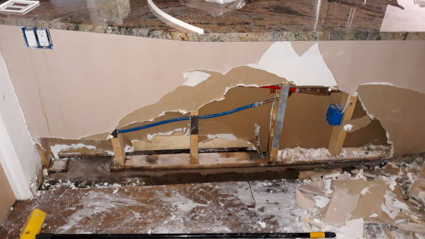 Best Fire Damage Restoration  in Hazel Crest, IL