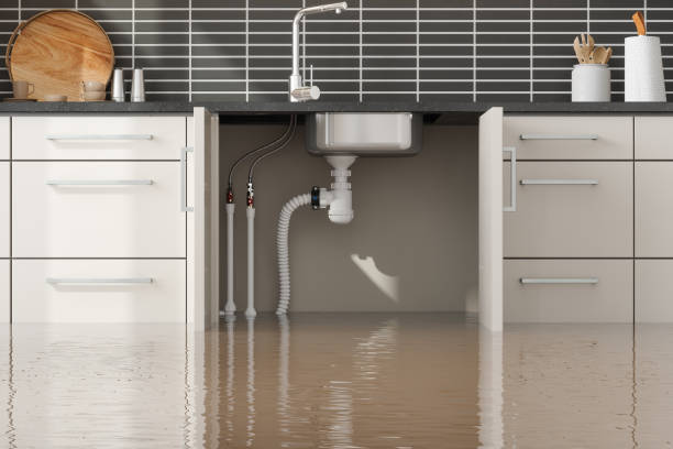  Hazel Crest, IL Water damage restoration Pros
