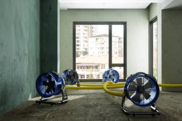 Best 24/7 water damage repair  in Hazel Crest, IL